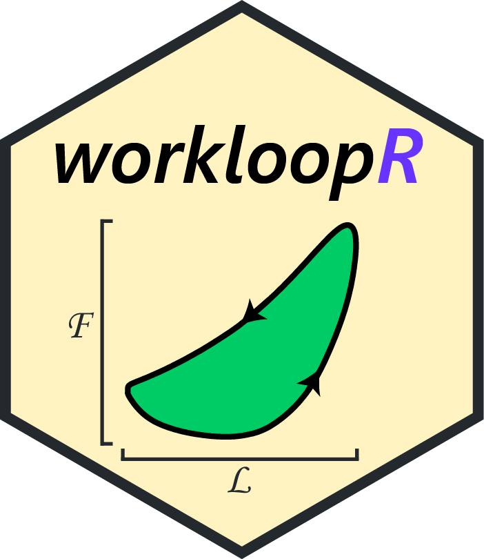 workloopR icon